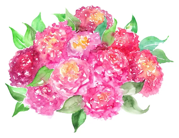 Watercolor pink rose peony flower floral composition bouquet isolated — Stock Photo, Image