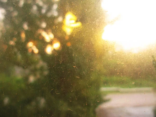 Natureza após chuva. Gotas de chuva secas na foto de vidro da janela — Fotografia de Stock