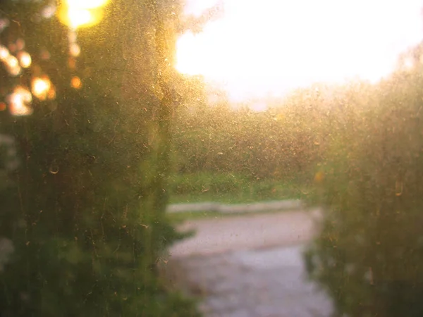 Nature après pluie. gouttes de pluie sèches sur la fenêtre photo en verre — Photo