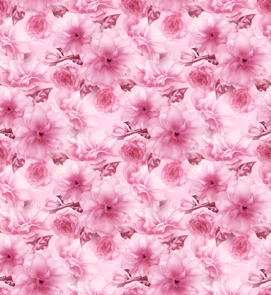 Rosa cereja sakura flor floral digital arte sem costura padrão textura fundo — Fotografia de Stock