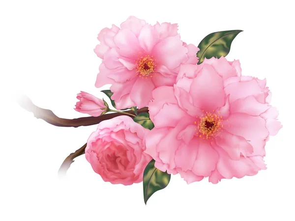 Vektor 3D realistische rosa Kirsche Sakura Blume Zweig digitale Kunst — Stockvektor