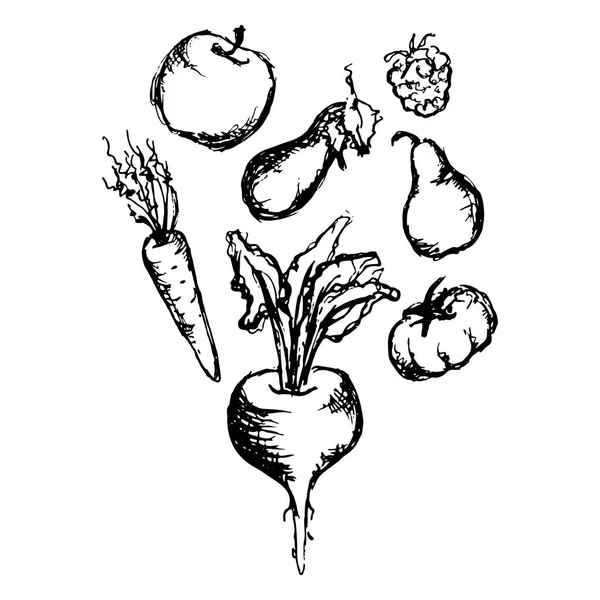 Gemüse Obst monochrome Tinte Hand gezeichnet Set Vektor — Stockvektor