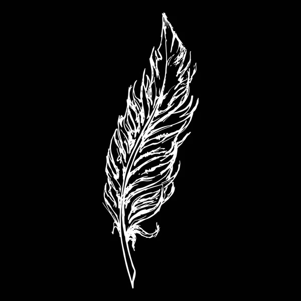 Monocromo blanco y negro pájaro pluma dibujo línea arte vector — Archivo Imágenes Vectoriales