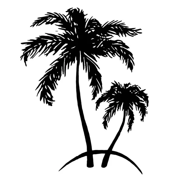 Monochrome noir et blanc deux palmiers tropicaux mer océan plage dessiné à la main vecteur de croquis — Image vectorielle