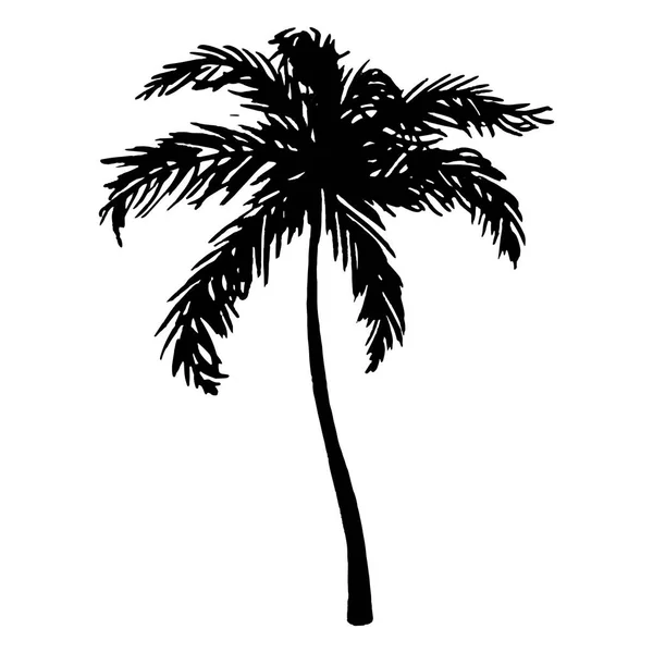 Monochrome black and white tropical palm tree sea ocean beach hand drawn sketch vector — Stock Vector