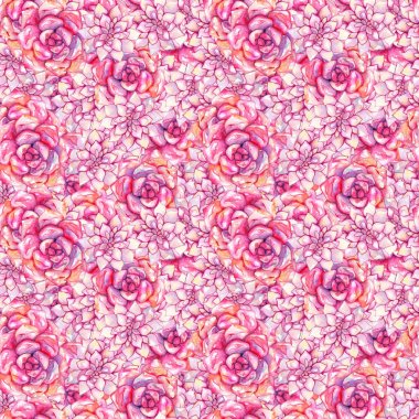 Sulu boya pembe echeveria etli çiçek bitki el çekilmiş Dikişsiz desen gül