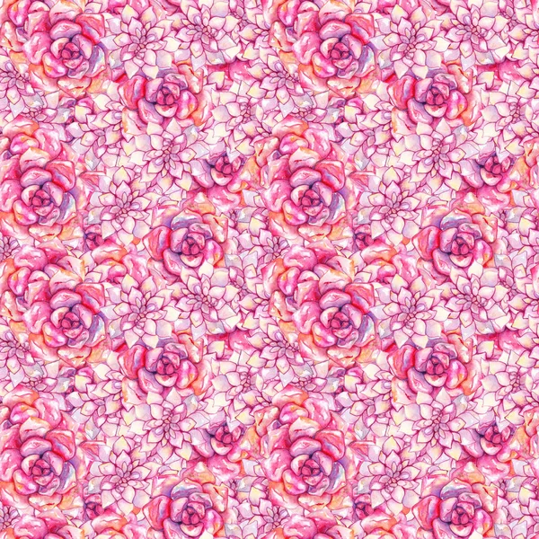 Watercolor pink echeveria succulent rose flower plant hand drawn seamless pattern — Stock Photo, Image