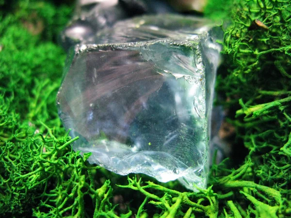 Green moss plant nature blue fragment glass stone macro photo — Stock Photo, Image