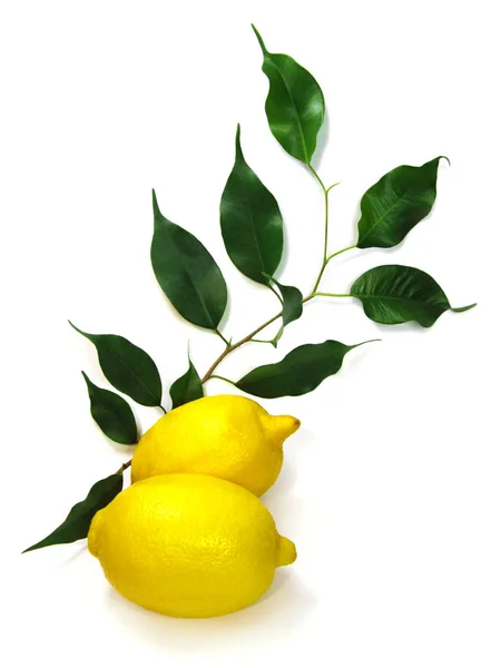 Фото цитрусовых желтого лимона с зелеными листьями на белом фоне — стоковое фото