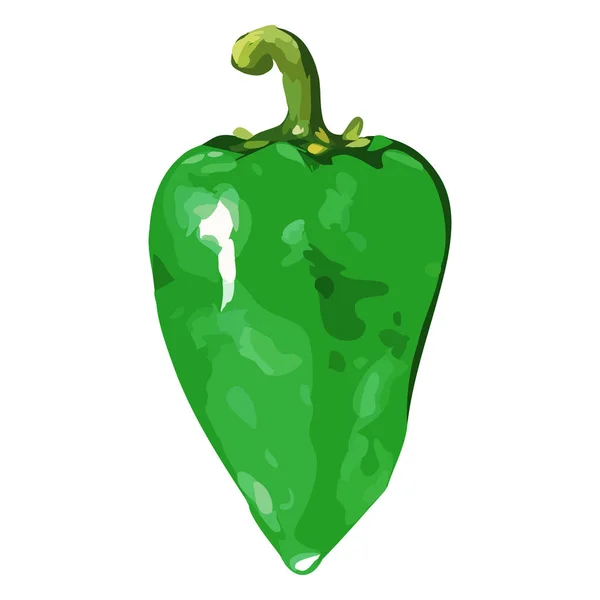 Watercolor green sweet bell Bulgarian pepper vegetable isolated vector — Stock Vector