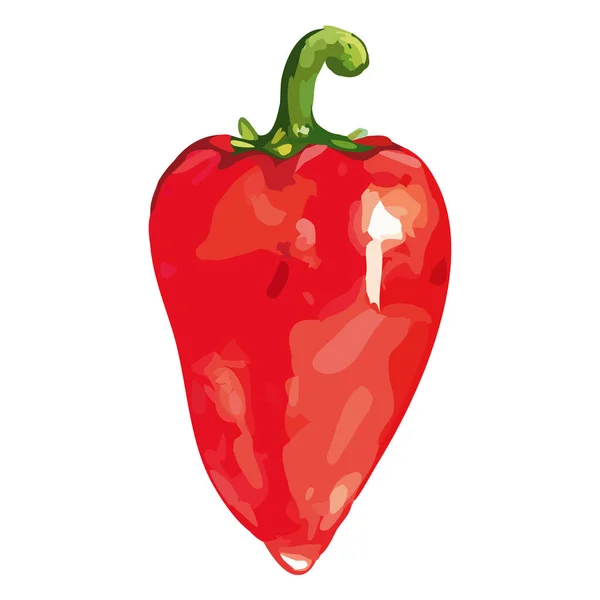 Акварель красный сладкий колокол болгарский перец овощной изолированный вектор — стоковый вектор