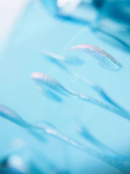 Makro fotoğraf mavi mavi su sıvı jel soyut doku arka plan — Stok fotoğraf