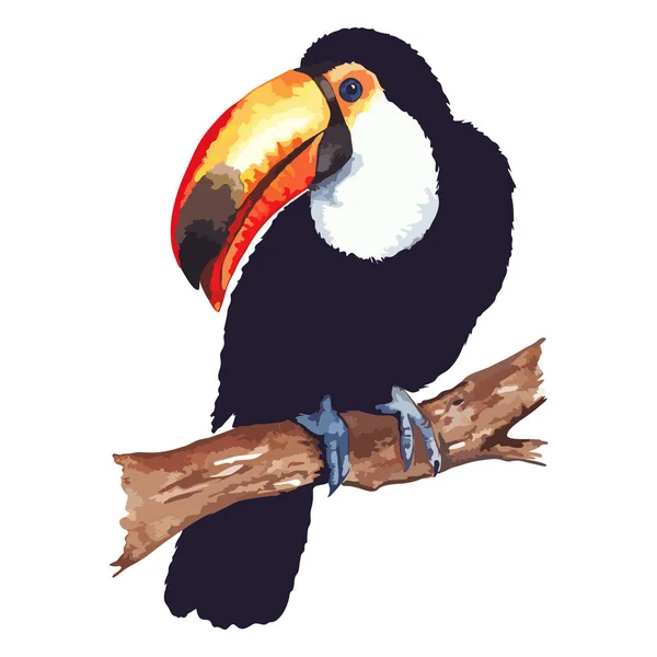 Watercolor exotic tropical animal bird toucan sitting on branch isolated art vector