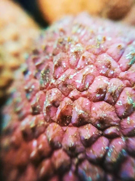 Macro photo lychee litchi dragon eye tropical exotic fruit blurred unfocused background texture — Stock Photo, Image