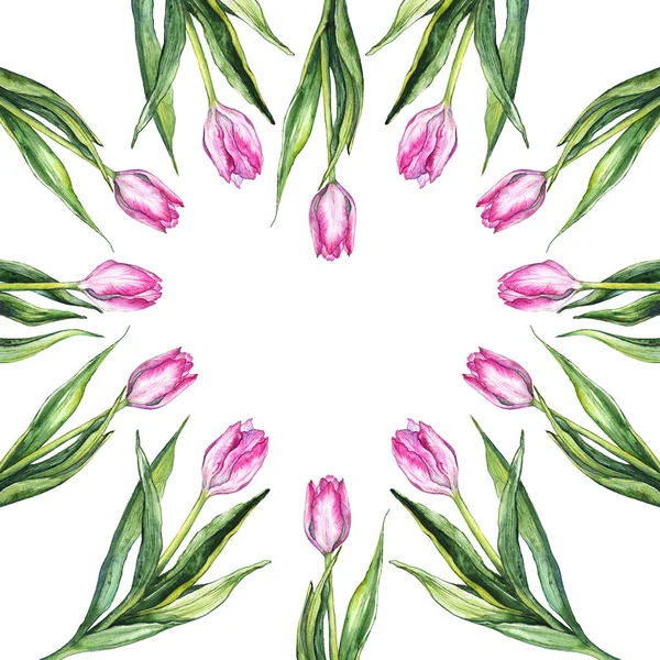 Aquarelle rose tulipe fleur nature coeur en forme de bordure cadre isolé — Photo