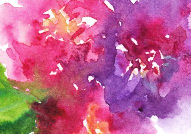 Sulu boya pembe mor çiçek çiçek Şakayık gül karanfil yaprağı kompozisyon sanat illüstrasyon doku zemin arka plan