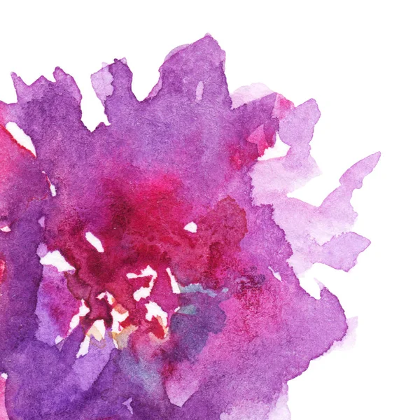 Akvarell, rózsaszín, lila virág virág pünkösdi rózsa Rózsa, szegfű art illusztráció textúra backdrop háttér — Stock Fotó