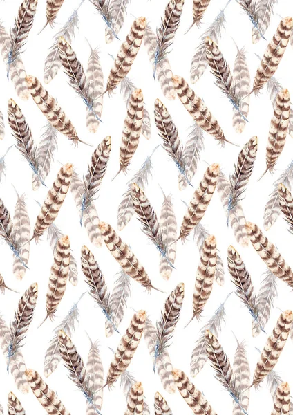 Watercolor brown beige stripe feather background pattern texture — Stock Photo, Image