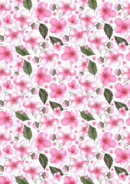 Sulu boya pembe kiraz sakura desen doku arka plan