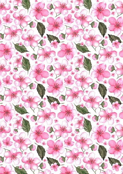 Watercolor pink cherry sakura pattern texture background — Stock Photo, Image