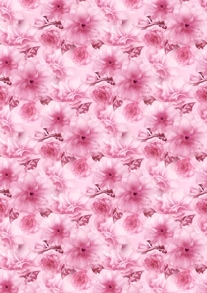Rosa Kirsche Sakura Blume Blumen digitale Kunst Muster Textur Hintergrund — Stockfoto