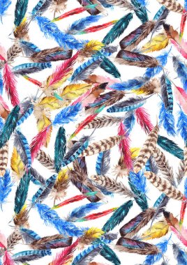 Sulu Boya renkli tüy kuş arka plan desen doku