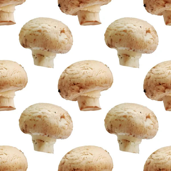 Champignon Mushroom Plant Food Macro Photo Seamless Pattern Texture Background — Stock Photo, Image