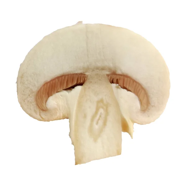 One Single Champignon Mushroom Slice Isolated White Background Macro Photo — Stock Photo, Image
