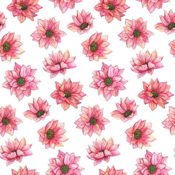 Watercolor Pink Chrysanthemum Flowers Leaves Seamless Pattern Texture Background — Stock Photo, Image
