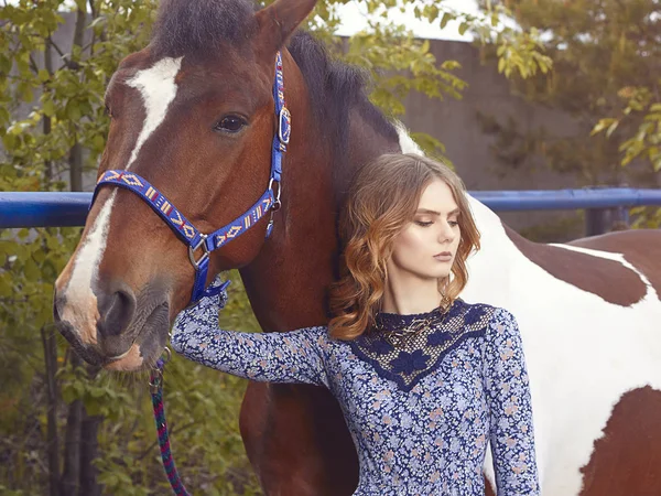 美しさ若い女性および馬 — ストック写真