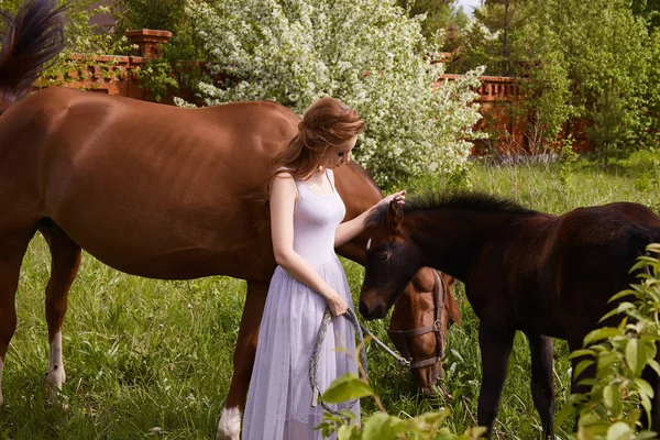 Beautiful woman with horses — Stock Photo, Image