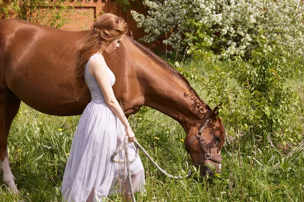 Beautiful woman walking with horse.beauty girl and horse
