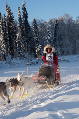 Laura Neese in the 2018 Yukon Quest clipart