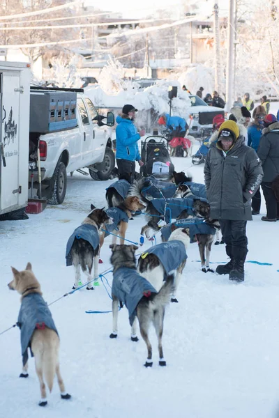 Yarış hazırlıkları