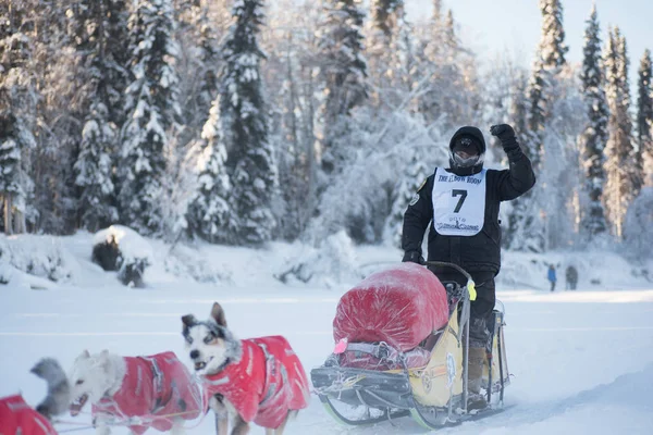 Matt Hall dalgalar hayranları için