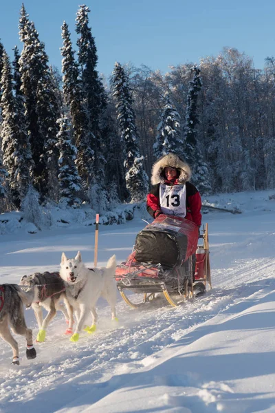 Laura Neese in de zoektocht van de Yukon 2018 — Stockfoto