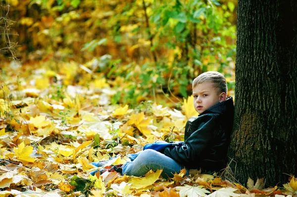 Portret chłopca, jesienią Park w słoneczny dzień — Zdjęcie stockowe