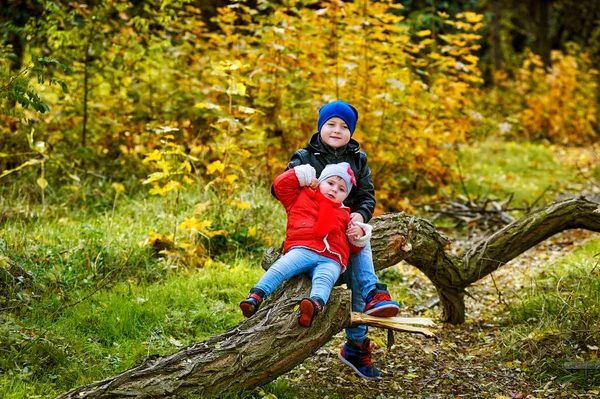 Брат и сестра играют в осеннем парке — стоковое фото