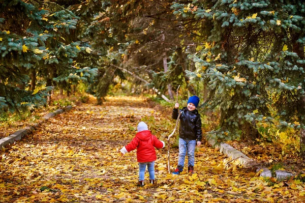 Hermano y hermana jugando en otoño Park — Foto de Stock