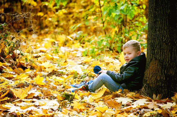 Piękny chłopak śmieszne gry jesienią Park — Zdjęcie stockowe