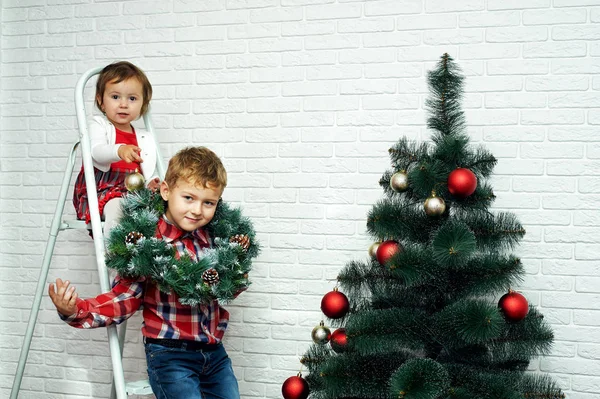 Красивые маленькие дети украшают елку. Счастливого Рождества! — стоковое фото