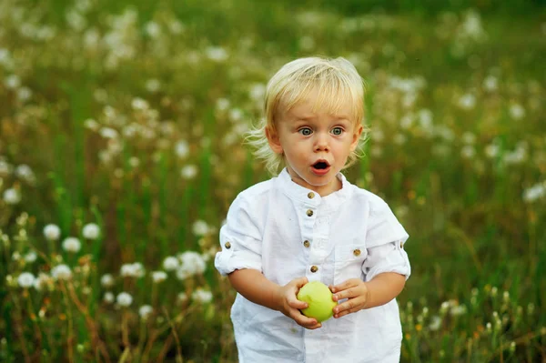 Menino com maçã verde na natureza — Fotografia de Stock