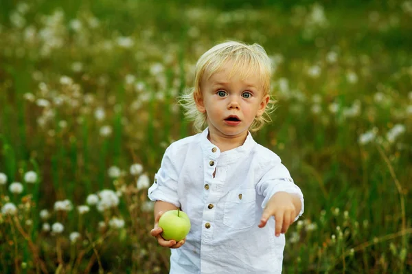 Niño pequeño con manzana verde en la naturaleza — Foto de Stock