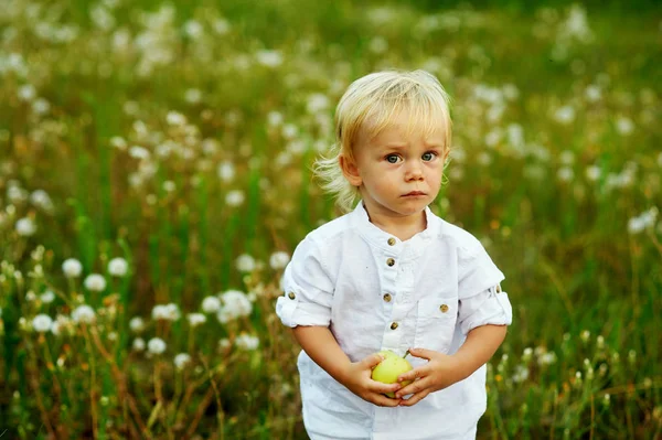 Niño pequeño con manzana verde en la naturaleza — Foto de Stock