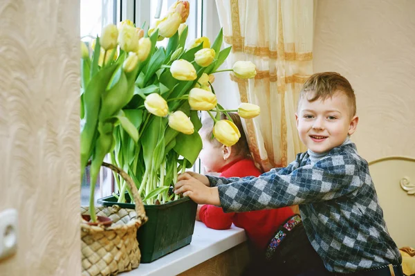 Brat i siostra z kwiatami. Tulipany w oknie — Zdjęcie stockowe