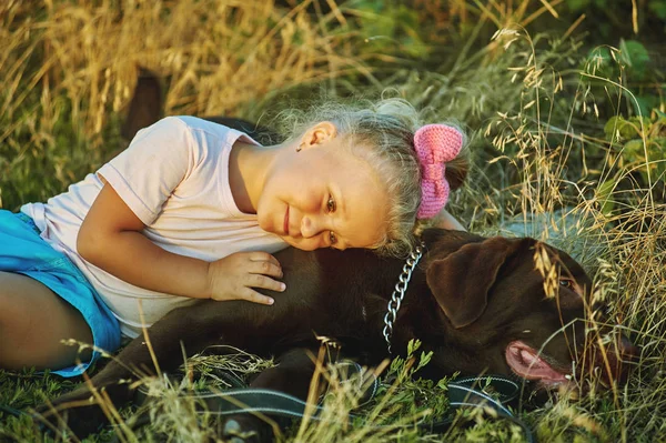 Дівчина, що йде з собака породи Лабрадор — стокове фото