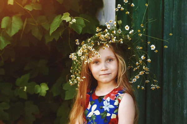 Retrato de uma menina com margaridas, tonificado em estilo retro — Fotografia de Stock