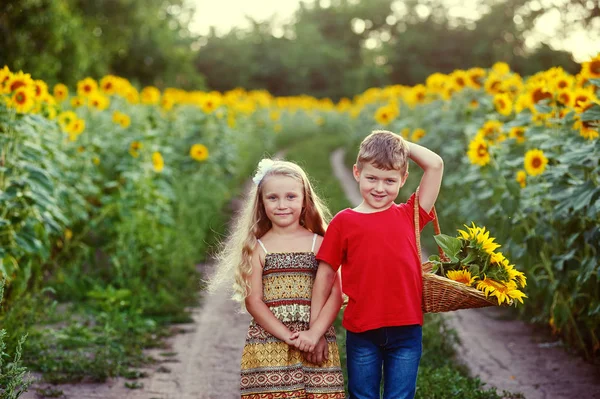 Dos niños caminan y juegan cerca del campo con girasoles. Paseo de amigos en el campo — Foto de Stock