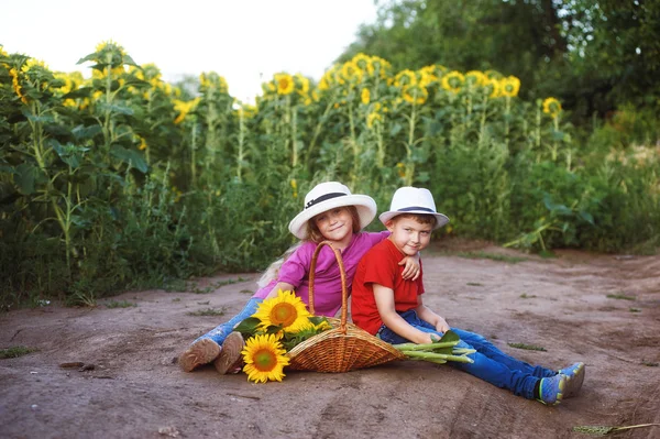 Two children walk and play near the field with sunflowers . Walk of friends in the countryside — Stock Photo, Image