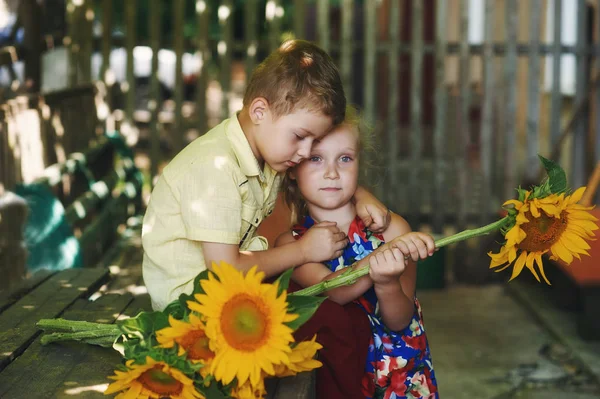 Children's friendship and love . Boy with flowers sunflower for girls — Stock Photo, Image